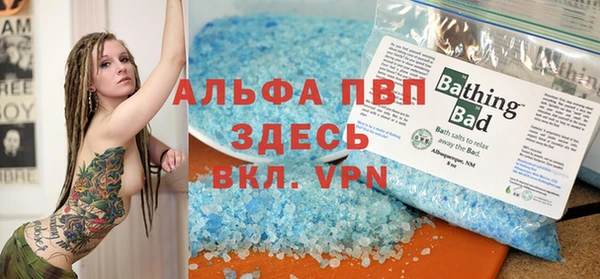 гидра Билибино