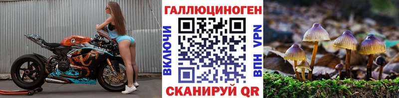MEGA маркетплейс  Инсар  Псилоцибиновые грибы Psilocybe 